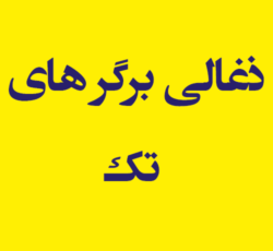 پیتزا  های تک