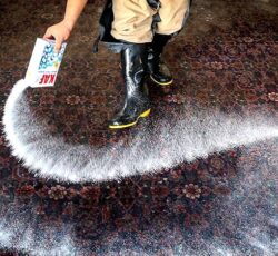 قالیشویی و رفوگری نگار