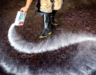 قالیشویی و رفوگری نگار