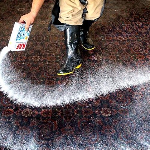 قالیشویی و رفوگری نگار