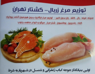 مرغ و ماهی خلیج فارس