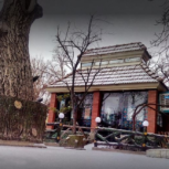 سفره خانه سنتی آبنوس