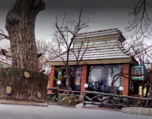 سفره خانه سنتی آبنوس