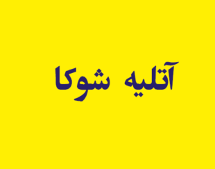 آتلیه و عکاسی شوکا