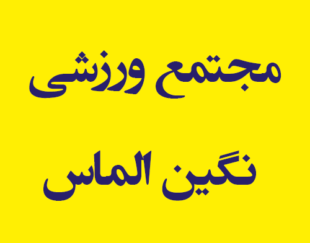 مجتمع ورزشی نگین الماس اندیشه