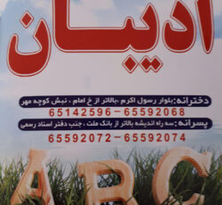 آموزشگاه زبان ادیبان