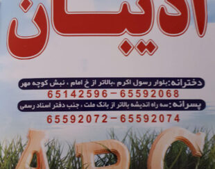 آموزشگاه زبان ادیبان