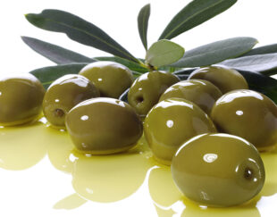 پخش زیتون آنیتا