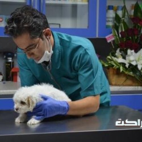 کلینیک دام پزشکی پارسه