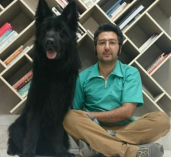 کلینیک دامپزشکی ژاوه