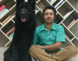 کلینیک دامپزشکی ژاوه