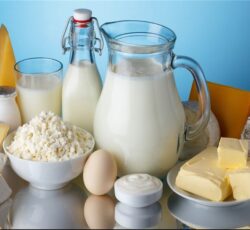 لبنیات و بستنی باباجان  یزدی