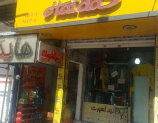 ساندویچ هایدا اندیشه