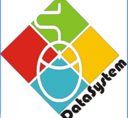 دیتا سیستم فردیس