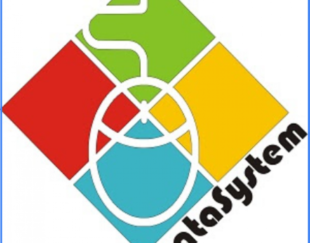 دیتا سیستم فردیس