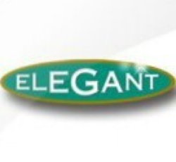 الگانت رایانه فردیس