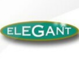 الگانت رایانه فردیس