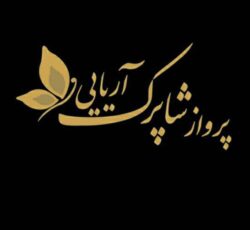 آژانس هواپیمایی پرواز شاپرک آریایی