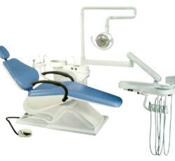 دکتر زینب حاجی رجبعلی متخصص دندانپزشک