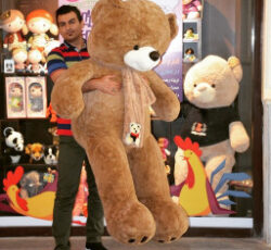 فروشگاه اسب بازی تغزل