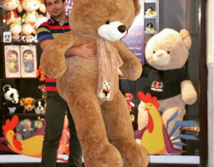 فروشگاه اسب بازی تغزل