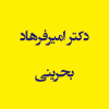 دکتر امیرفرهاد بحرینی