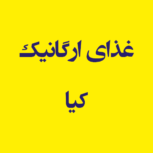 غذای ارگانیک کیا