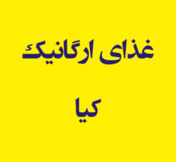 غذای ارگانیک کیا