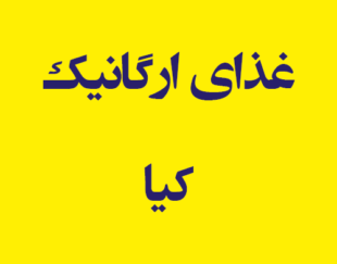 غذای ارگانیک کیا