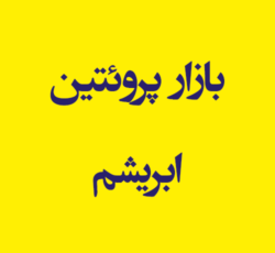 بازار پروئتین ابریشم