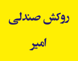 روکش صندلی امیر