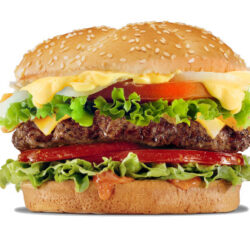 خانه برگر مش دونالد