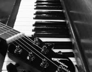 هنرکده تخصصی موسیقی شاداب