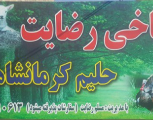 طباخی رضایت اندیشه