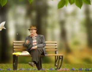 سالمندان ماندگاران فریماه