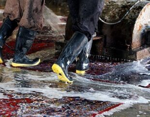 قالیشویی کویر