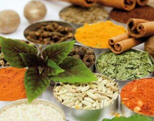 عطاری نیشابوری