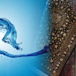 قالیشویی معجزه