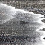 قالیشویی صدف آرا