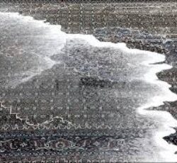 قالیشویی صدف آرا