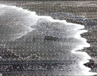 قالیشویی صدف آرا