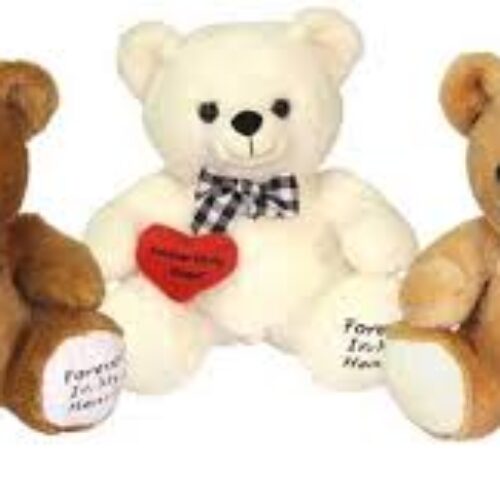 عروسک فروشی گیفت باکس