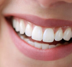 دکتر محمدرضا جوادیان دندانپزشک