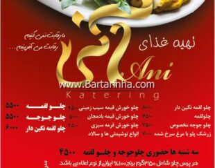 تهیه غذای آنی