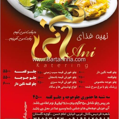 تهیه غذای آنی