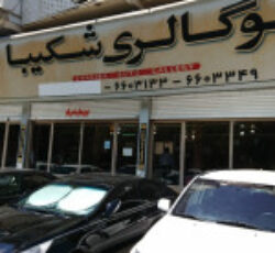 نمایشگاه اتومبیل شکیبا