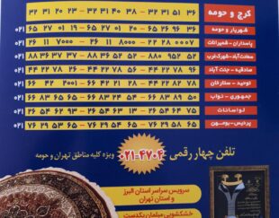 قالیشویی ادیب