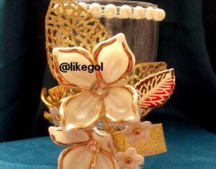 عرضه کننده به روز ترین  هفت سین ها