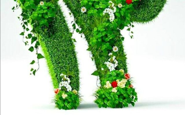 فلسفه سیزده بدر و شنیدنی های جالب در مورد آن