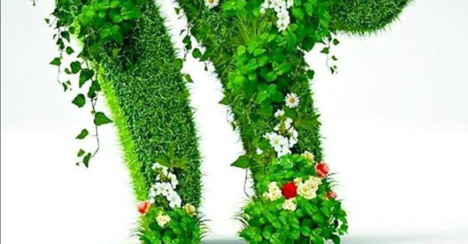 فلسفه سیزده بدر و شنیدنی های جالب در مورد آن